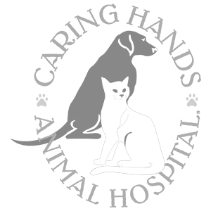 Caring Hands Animal Hospital Suffolk Virginia
