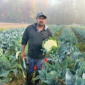 Anjel's Produce Fruits and Vegtables